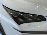 NX 300h Fスポーツ 4WD 4WD 本革シート