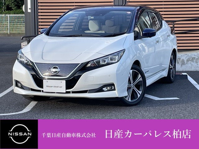 リーフ G 