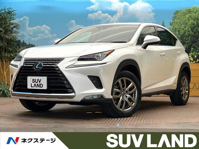 NX 300h 
