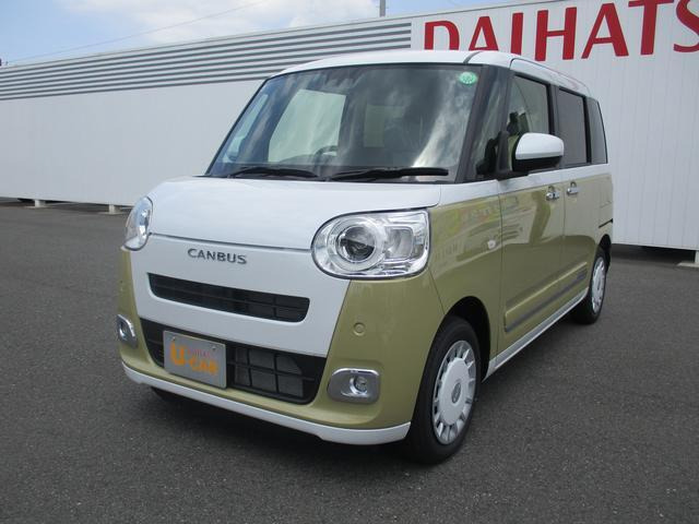 ムーヴキャンバス  ストライプス G