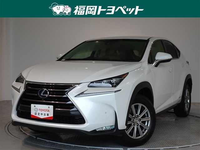 NX 300h Iパッケージ 