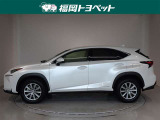 NX 300h Iパッケージ 