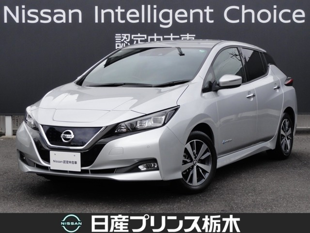 リーフ X 