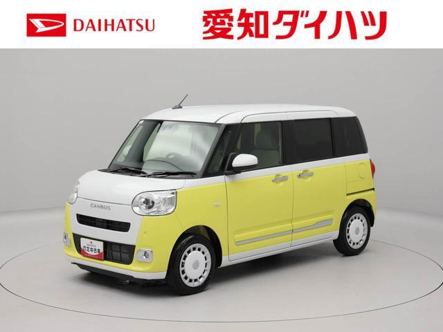 ムーヴキャンバス  ストライプス G