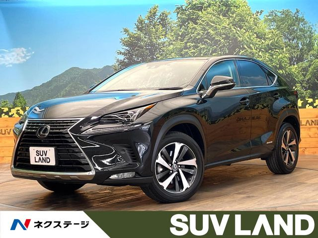 NX 300h Iパッケージ 