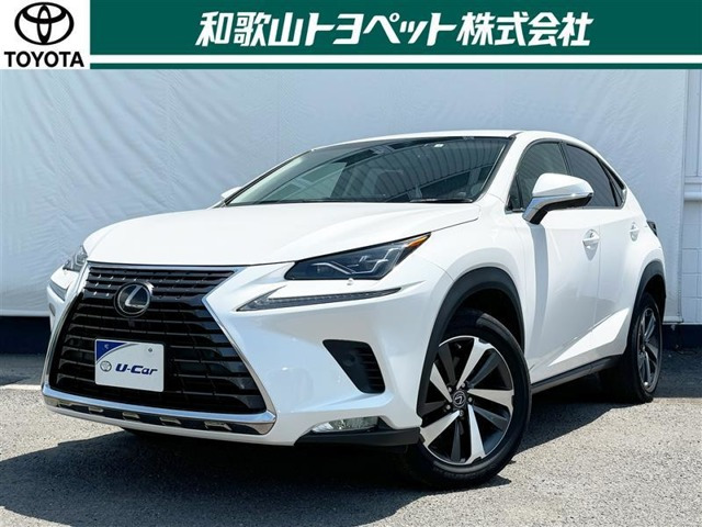 NX 300 バージョンL 