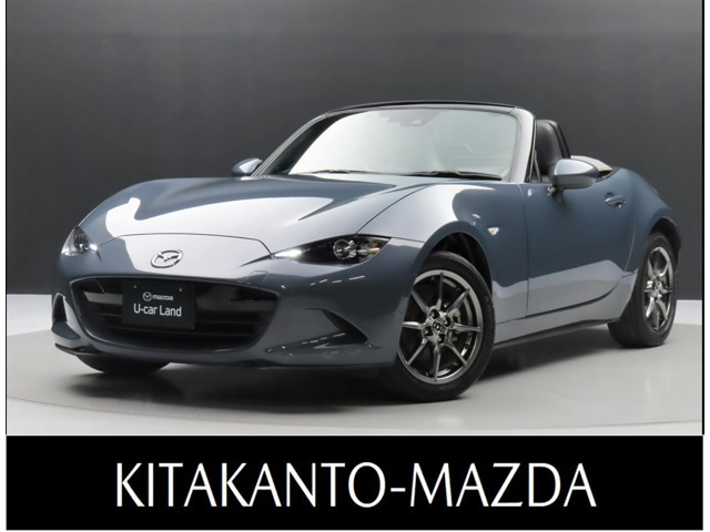 ロードスター 1.5 シルバー トップ 