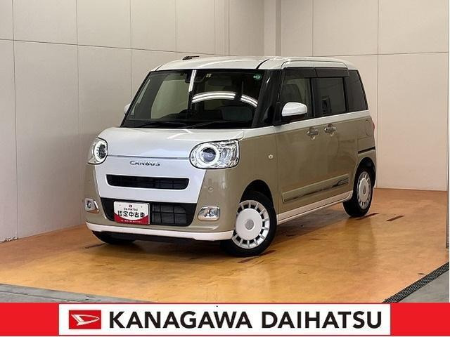 ムーヴキャンバス  ストライプス G