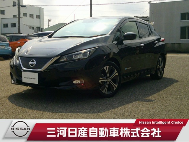 リーフ X 