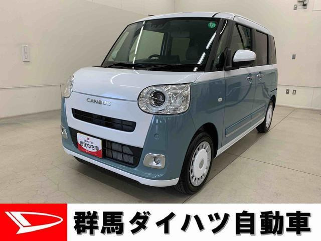 ムーヴキャンバス  ストライプス G