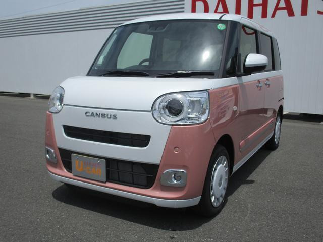 ムーヴキャンバス  ストライプス G