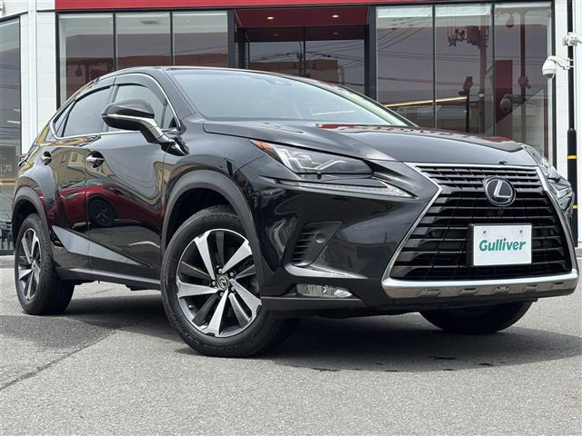 NX 300h Iパッケージ 本革シート サンルーフ