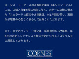 F8トリブート  F1 DCT
