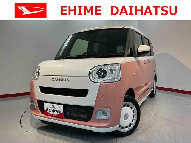 ムーヴキャンバス  ストライプス G