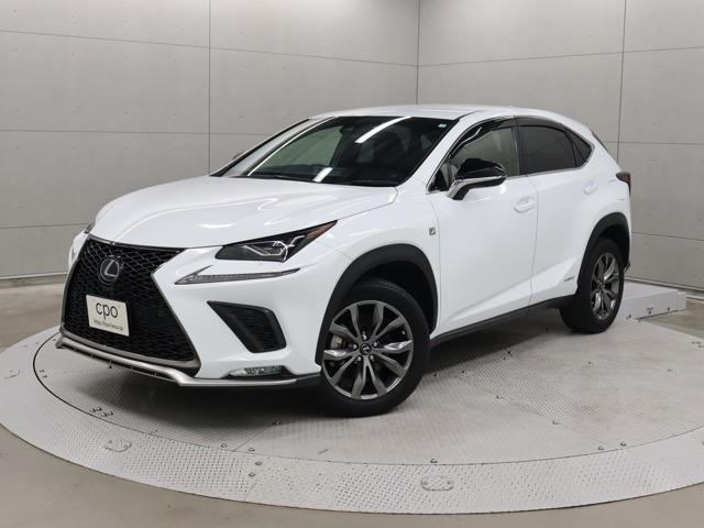 NX 300h Fスポーツ 