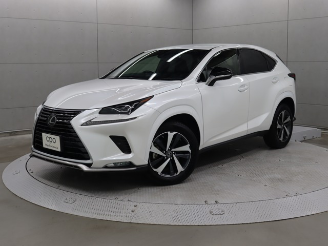 NX 300 スパイス&シック