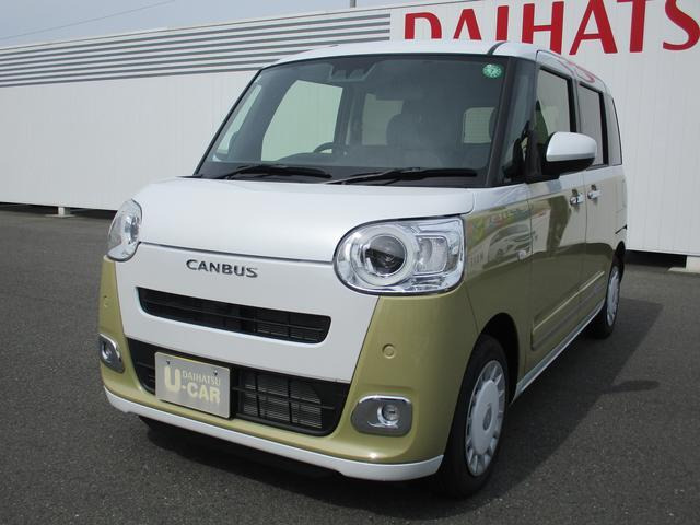 ムーヴキャンバス  ストライプス G