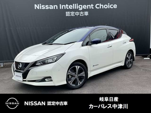 リーフ G 