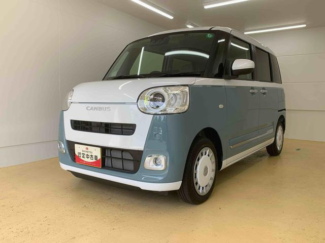 ムーヴキャンバス  ストライプス G