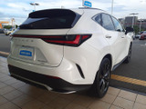 NX 350h Fスポーツ 4WD 