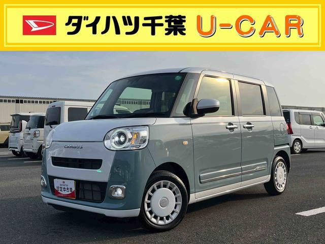ムーヴキャンバス  ストライプス G