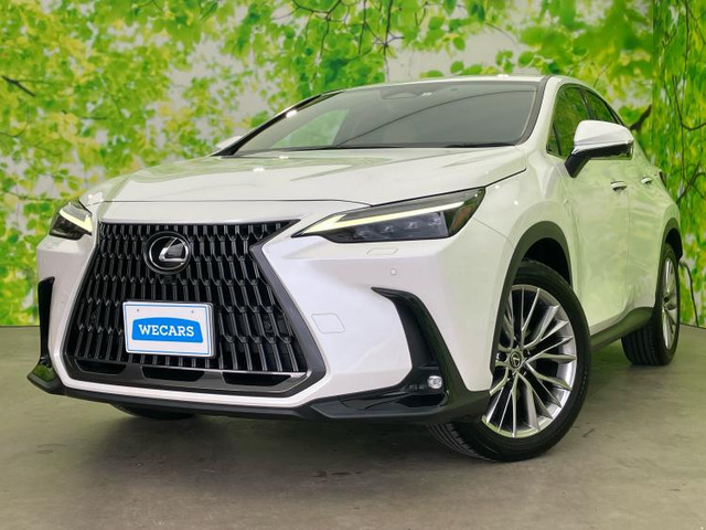 NX 250 バージョンL 4WD 