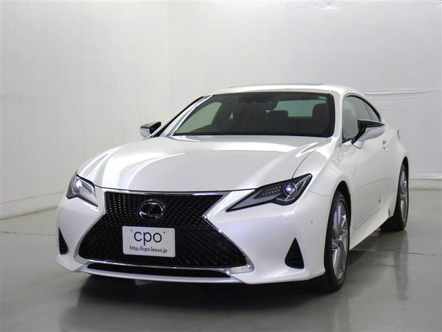 RC 300 