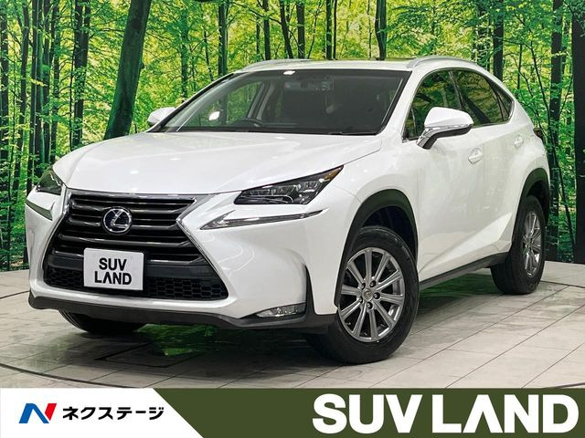 NX 300h Iパッケージ 