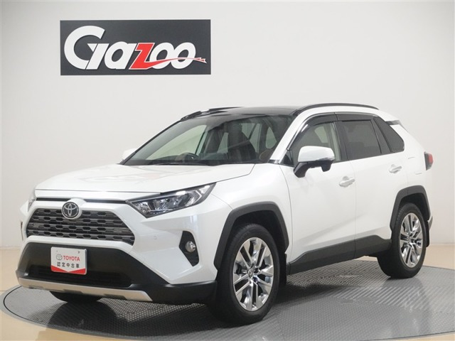 RAV4  2.0 G Zパッケージ 4WD
