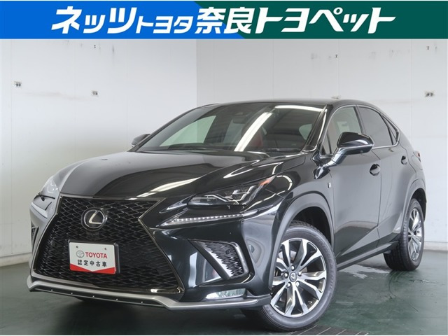 NX 300h Fスポーツ 