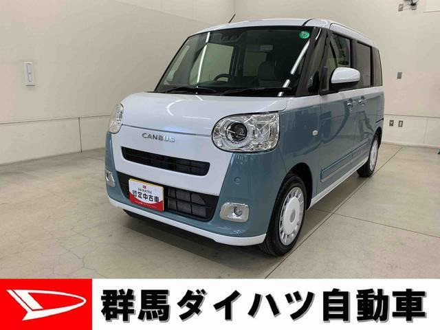 ムーヴキャンバス ストライプス G