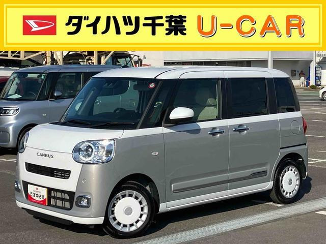 ムーヴキャンバス  ストライプス G