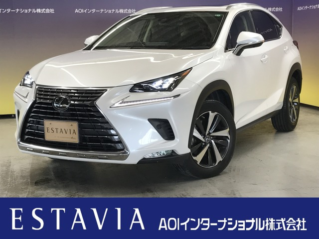NX 300 Iパッケージ 
