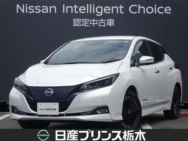 リーフ e+ G 