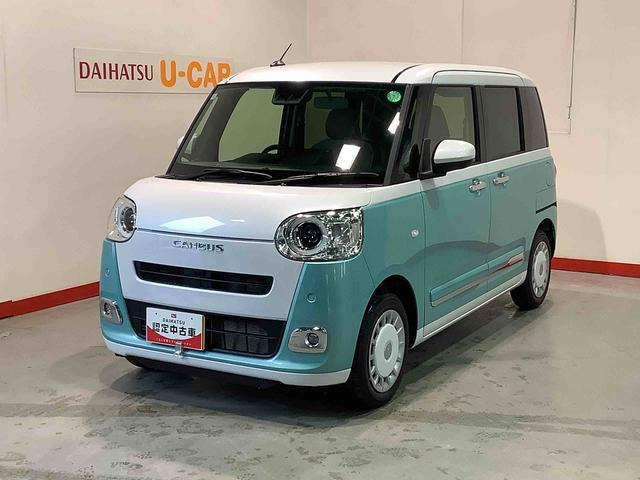 ムーヴキャンバス  ストライプス G