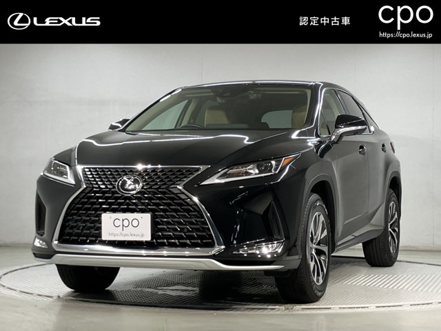 RX 300 
