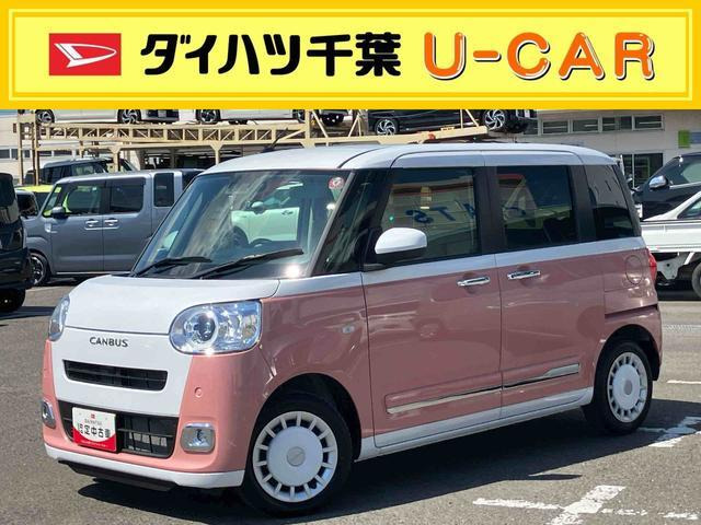 ムーヴキャンバス  ストライプス G