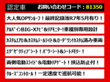 ヴェルファイア 2.5 Z Gエディション サンルーフ アルパインBIGX カスタムエアロ