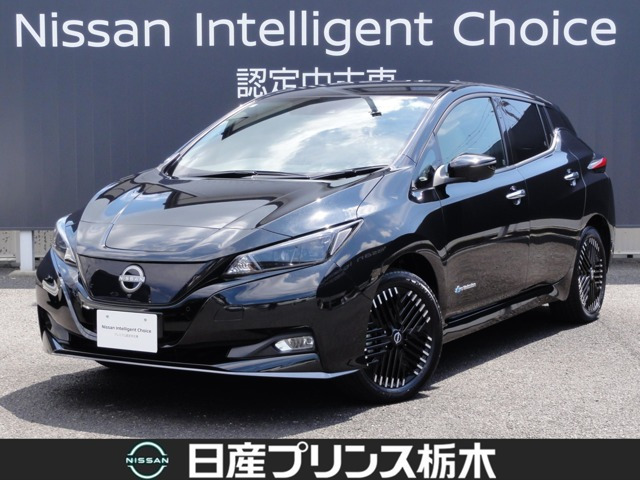 リーフ e+ G 