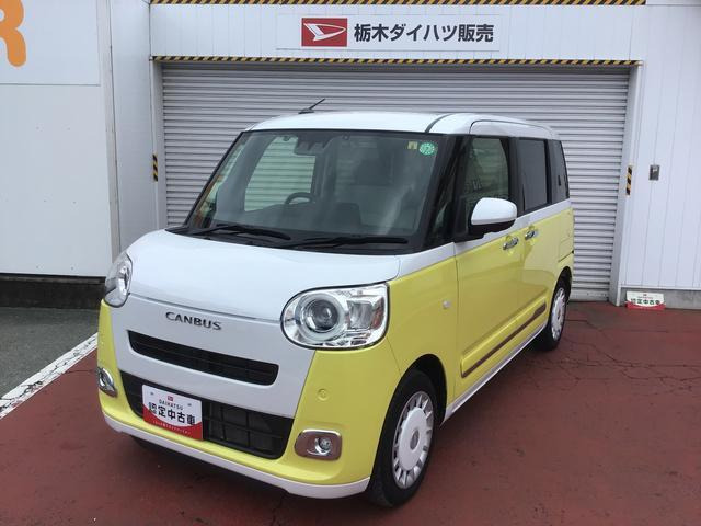 ムーヴキャンバス  ストライプス G