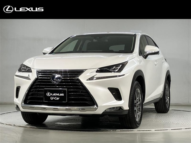 NX 300h バージョンL 