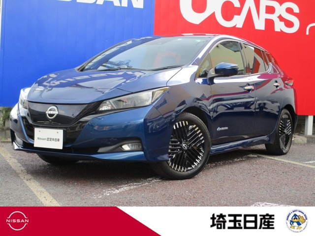 リーフ G 