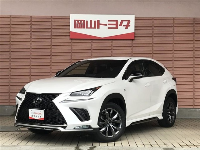 NX 300 Fスポーツ 