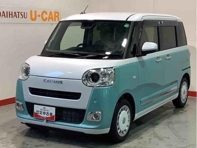 ムーヴキャンバス  ストライプス G