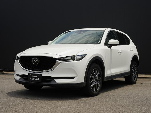 CX-52.0 20Sシルク ベージュ セレクション