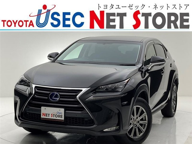 NX 300h Iパッケージ 