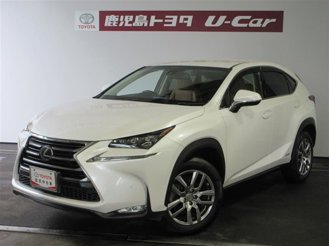NX 300h Iパッケージ 