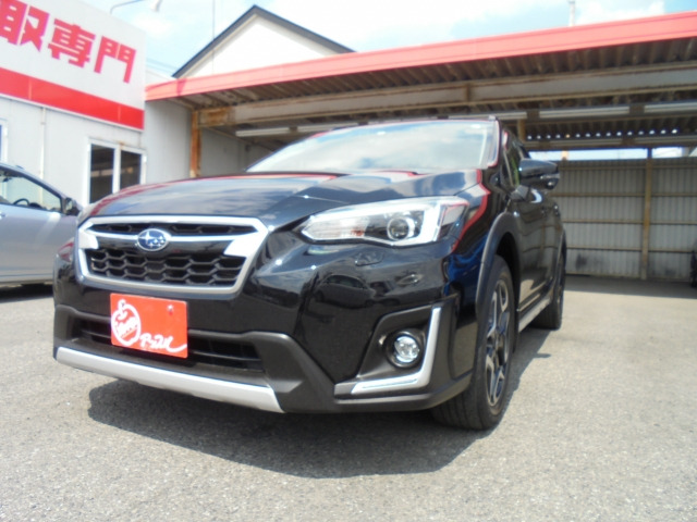 XV  