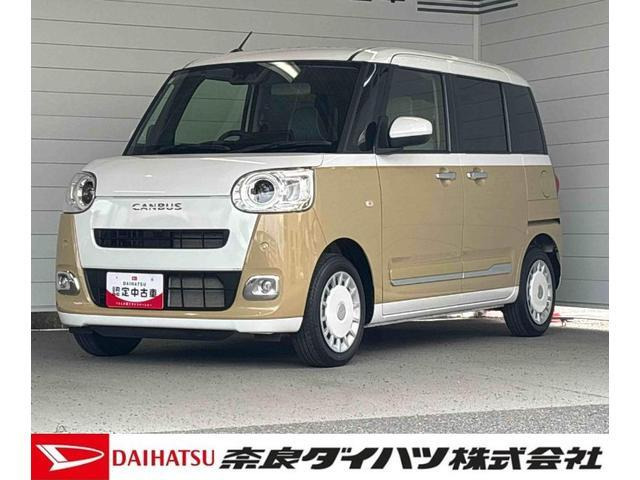 ムーヴキャンバス  ストライプス G