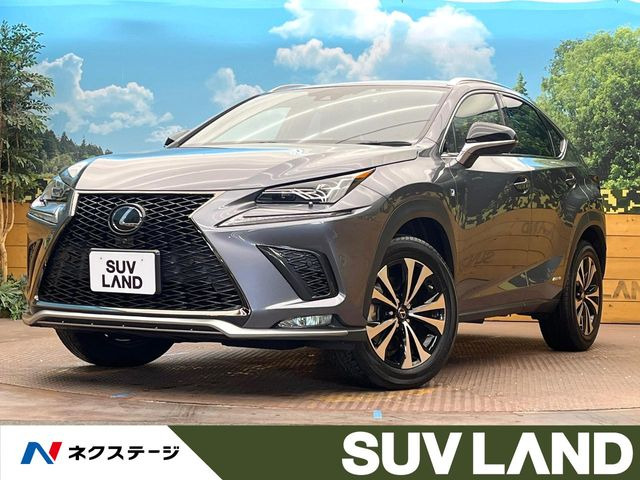 NX 300h Fスポーツ 